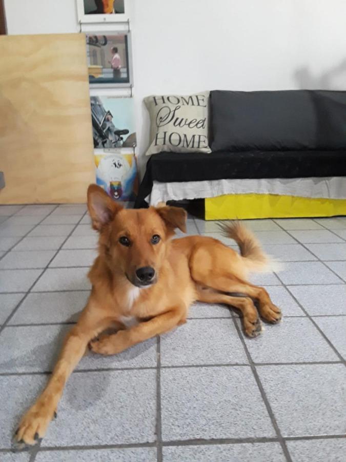 ホテルCasa Do Silvestre ヴィトーリア エクステリア 写真